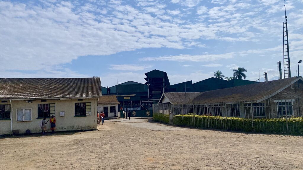 Tea processing factory in Bushenyi, Uganda