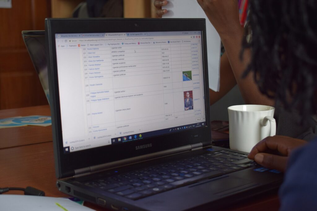 Ugandan professionals working together on laptops